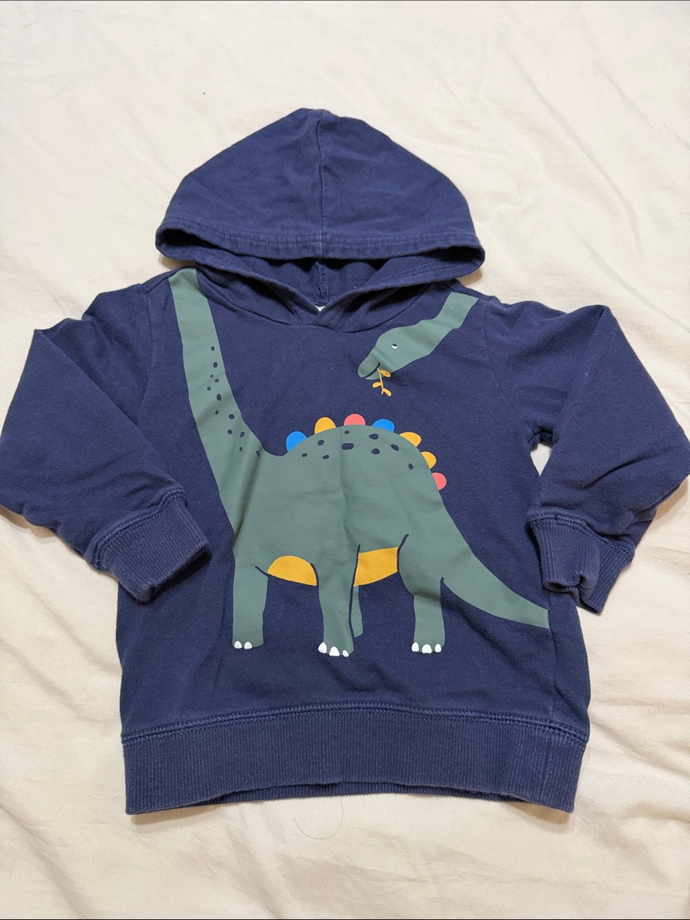 Carter's Navy Hoodie with Green Dinosaur Print and Multicolor Spines